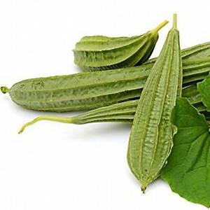 Hạt Giống Mướp Khía Sai Trái, Chịu Nhiệt 10 Hạt