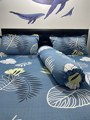 Bộ Drap Thun Lụa _Mát Lạnh {4 MÓN} ga và 3 áo gối #gagoi#drapgoi hoặc drap lẻ /.