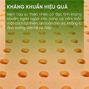 Nệm Cao Su Thiên Nhiên Tatana Standard, Mềm Mại Êm Ái Nâng Đỡ Cột Sống, Kháng Khuẩn Bảo Hành 10 Năm