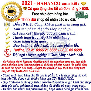 Lược sừng chuyên dụng MÁT XA toàn thân đa năng /làm đẹp /thư giãn /giúp lưu thông khí huyết - COH197 - HAHANCO