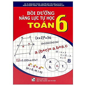 Bồi Dưỡng Năng Lực Tự Học Toán 6