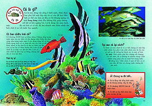 Sách Khám Phá Thế Giới Động Vật (Tái Bản)