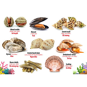 Từ Điển -Thư Viện Hình Ảnh Song Ngữ Đầu Tiên Của Bé - Động Vật Dưới Nước