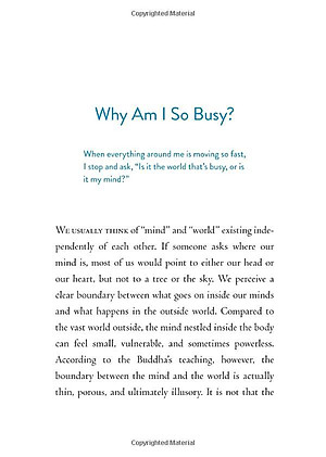 Sách The Things You Can See Only When You Slow Down: How To Be Calm And Mindful In A Fast-Paced World