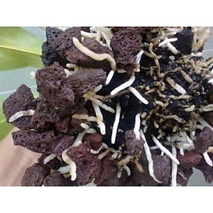 Vật Liệu Lọc Hồ Cá 1KG | Bông Lọc 8D Cao Cấp 50x11x2cm Hiệu Quả