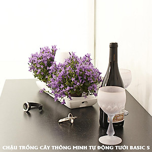Chậu Để Bàn Tự Tưới và Tự bón phân Basic S , nhập khẩu Minigarden dành cho người yêu cây xanh nhưng không có thời gian chăm sóc cây (Giải pháp trồng cây TỰ DƯỠNG bền vững) (1 bộ gồm 2 chậu S, 1 khay hứng nước, 1 bình chứa nước và phân)