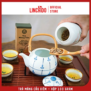 Trà Mãng Cầu Nguyễn Văn - 100% mãng cầu xiêm tươi sấy khô - Hộp 100 GRAM