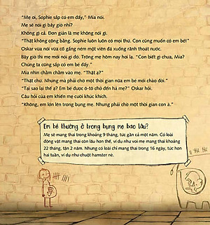 Sách Có Một Em Bé Trong Bụng Mẹ