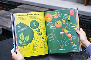 Sách Britannica's Encyclopedia Infographica - Bách khoa thư bằng đồ họa