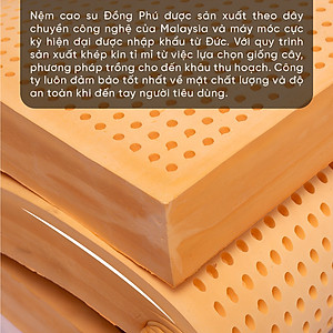 Nệm Gấp 3 Cao Su Thiên Nhiên Đồng Phú- Đàn hồi-hỗ trợ thẳng lưng- Bảo hành 7 năm.