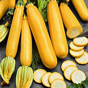 Hạt Giống Bí Ngòi Vàng Rado 337