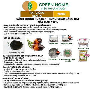 Hạt Giống Hoa Sen Ta GreenHome, Gói 20 Gram, Dễ Trồng, Nảy Mầm Tốt, Bông To, Lá Dày H10