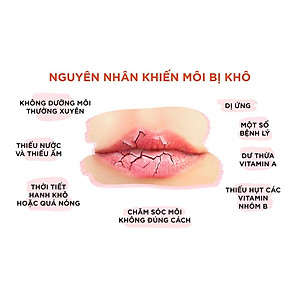 Son Dưỡng Môi DHC Lip Cream Nhật Bản 1,5g