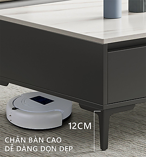 Bàn trà sofa cao cấp phong cách Scanvadia thương hiệu IGA - GP296
