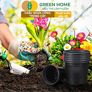 Bộ 3 Chậu nhựa trồng cây, nhiều kích thước, thoát nước tốt, đa dạng kích thước trồng cây, hoa, kiểng lá |Greenhome