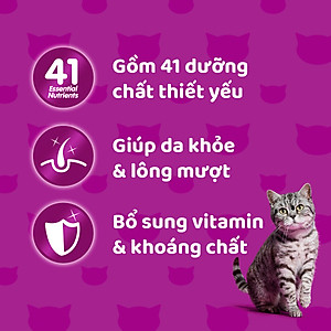 [Combo 12 Gói] Thức Ăn Cho Mèo WHISKAS 1+ years Vị Cá Ngừ, Gà 80g/Gói