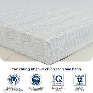 Nệ̣m Foam Premium Thuần Việt - Êm Ái, Thoáng Mát Tối Ưu - Bảo Hành 12 Năm