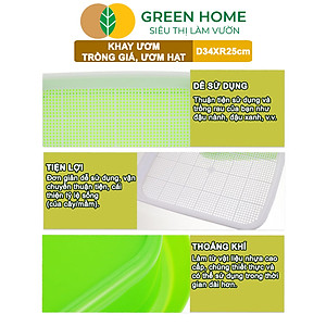 Khay Trồng Rau Greenhome, D34xR25xC5cm, Nhựa Nguyên Sinh, An Toàn, Chuyên Trồng Giá, Rau Mầm Tại Nhà, Không Cần Đất