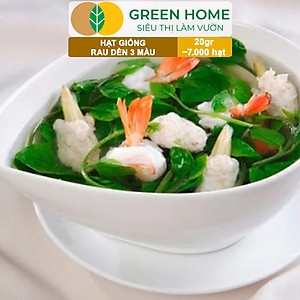 Hạt Giống Rau Dền 3 Màu Greenhome, Gói 20g~7000 hạt, Dễ Trồng Quanh Năm, Nảy Mầm Cao, Thu Hoạch Nhanh, Năng Suất Cao R15