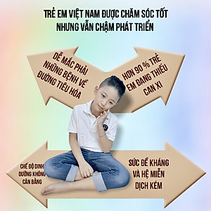 [TOP SALE] TỔ YẾN CHƯNG ĐƯỜNG PHÈN 100% Tổ Yến Thật (Hàm Lượng 30%) (6 Lọ X 70ML) - Đệ Nhất Yến Đảo - Tăng Sức Đề Kháng - Kích Thích Tiêu Hóa - An Thần - Bổ Phế - Long Đờm - Giảm Ho - Tăng Cường Trí Nhớ - Kéo Dài Thanh Xuân