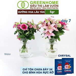 Dưỡng Hoa Lâu Tàn Greenhome, Chrysal, Gói 5gr, Phân Bón Cho Hoa Cắt Cành, Lâu Tàn, Nở Bông To, Không Bị Hôi Nước