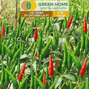 Hạt Giống Ớt Chỉ Thiên Greenhome, Gói 1gr, Sai Trái, Siêu Cay, Dễ Trồng Quanh Năm, Nảy Mầm Cao, Thu Hoạch Nhanh G10