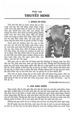 Sách 171 Bài Và Đoạn Văn Hay Lớp 9