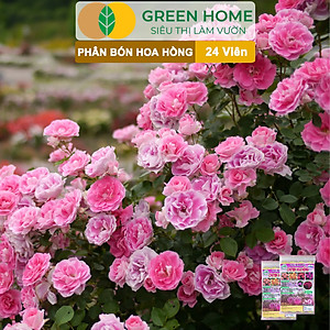 Phân Bón Hoa Hồng Greenhome, Gói 24 Viên, Giúp Cây Đâm Chồi, Thân Mập, Nhiều Nụ, Hoa To, Thắm Màu, Lâu Tàn