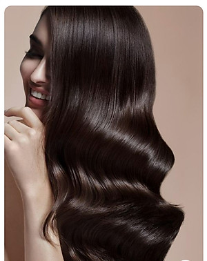 Dầu Gội Đầu Phục Hồi Tóc Hư Tổn Chiết Xuất Hoa Trà Salon Link Amino Shampoo (1000 mL)