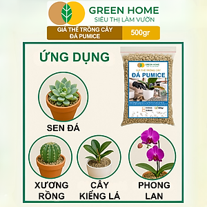 Đá Pumice Greenhome, Bao 500gr, Đất Trồng Sen Đá, Giá Thể Trồng Cây, Lót Chậu, Nhiều Khoáng Chất, Thoát Nước Tốt