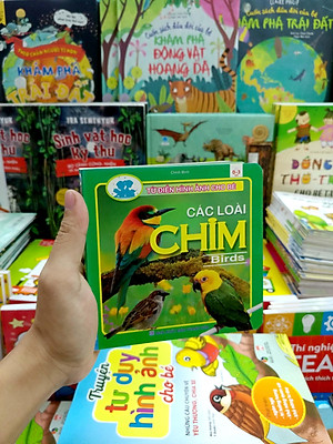 Từ Điển Hình Ảnh Cho Bé - Các Loài Chim