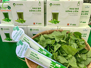 Bột Rau Má Uống Liền Quảng Thanh có đường 10 gói x 15g- rau má tươi nguyên chất, tăng cường dinh dưỡng