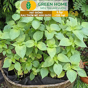 Hạt Giống Rau Thơm Mè Greenhome, Gói 0.5g, Dễ Trồng Quanh Năm, Nảy Mầm Cao, Thu Hoạch Nhanh, Năng Suất Cao R17