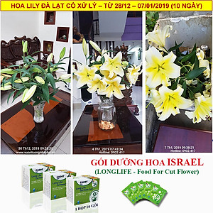 Chăm sóc hoa lâu tàn bằng bột dưỡng cho hoa cắt cành nhập khẩu Israel (Set 50 gói) giữ hoa lâu tàn gấp 2 lần bình thường và 14 ngày không thay nước mới