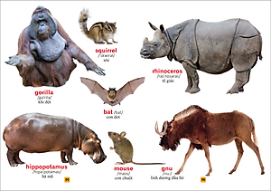 Từ Điển Bằng Tranh - Thế Giới Động Vật (Tái Bản)