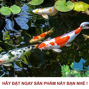 Máy bơm HA 8000 - HA10000 - HA12000 lõi trục gốm, 9 nấc chỉnh nước dùng cho bể cá, hồ cá, hòn non bộ - Máy bơm chìm cao cấp