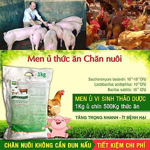 BIO-MEN Men ủ thơm thảo dược. Men vi sinh ủ chín thức ăn cho Gia súc, Gia cầm
