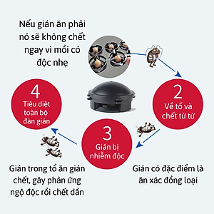 Thuốc Diệt Gián Nhật Bản, Hộp 12 Viên, Diệt Gián Tận Gốc, An Toàn, Hiệu Quả, Hàng Nhập Khẩu