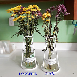 GÓI DƯỠNG HOA TƯƠI LONGLIFE CỦA ISRAEL (COMBO 30 GÓI), GIỮ HOA TƯƠI LÂU GẤP 2 LẦN VÀ 14 NGÀY KHÔNG THAY NƯỚC MỚI