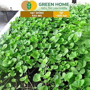 Hạt Giống Rau Má Greenhome, Gói 1g, Dễ Trồng Quanh Năm, Nảy Mầm Cao, Thu Hoạch Nhanh, Năng Suất Cao R12