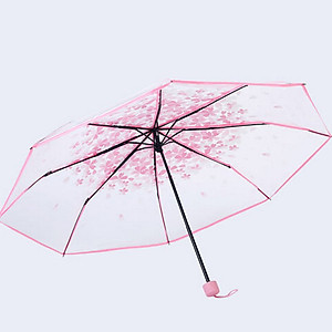 Dù xếp trong suốt hoa anh đào V.2 - Màu hồng