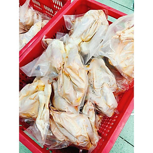 GÀ ta thả vườn con gà có đầu, có chân không lòng (giao tphcm)