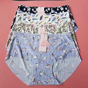 Combo 5 chiếc quần lót nữ thun lạnh chất vải co giãn 4 chiều điều hòa cực thông thoáng họa tiết 3D trẻ trung