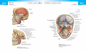 Sách Sobotta Atlas Giải Phẫu Người