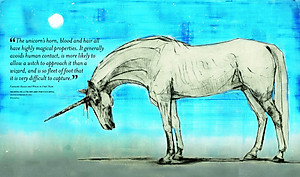 Sách Fantastic Beasts: The Wonder of Nature (Amazing Animals and the Magical Creatures of Harry Potter and Fantastic Beasts) (Paperback)