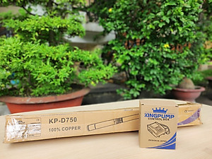 MÁY BƠM CHÌM HỎA TIỄN 750W KINGPUMP KP-D750 - HÀNG CHÍNH HÃNG