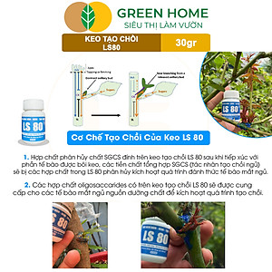 Keo Tạo Chồi LS80, Greenhome, Hũ 30gr, Tạo Mầm Tại Vị Trí Bất Kỳ, Có Chọn Lọc, Không Suy Cây, Đen Chồi