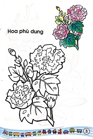 Sách Tập Tô Màu Các Loại Hoa