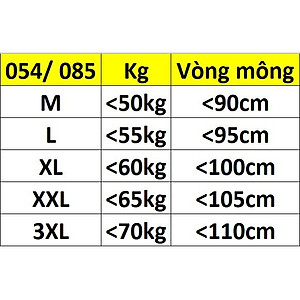 Quần Lót Nữ Gen Nhẹ Lưng Cao Gấm Hoa Locust 054 – Định Hình Eo Thon, Cạp Cao Ôm Vừa Vặn