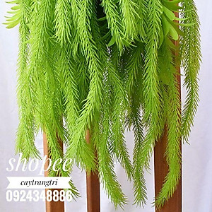 Cụm Rủ Đuôi Chồn Trang Trí dài 45cm 5 nhánh